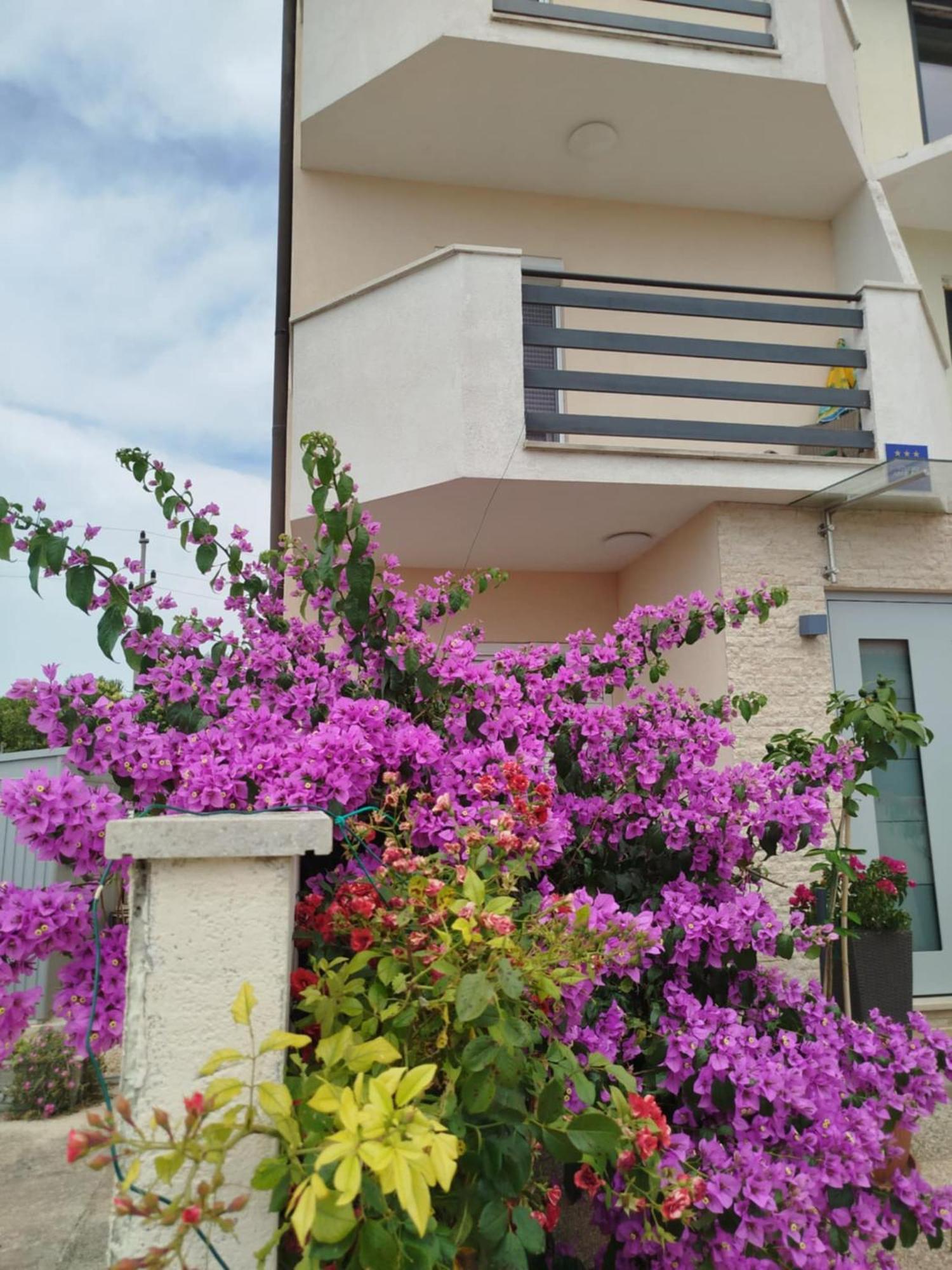 Smokvica Apartment Savudrija Ngoại thất bức ảnh